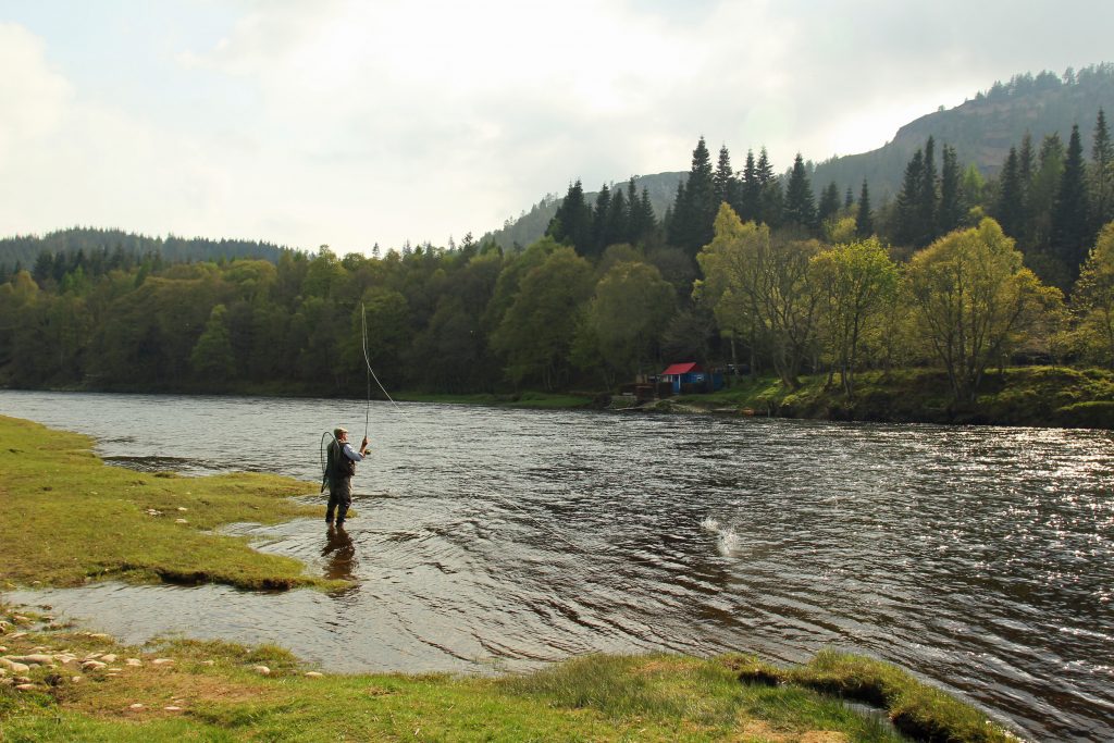 articles and images by Linda Mellor, a flying fishing image taken in late spring early summer on the River Tay at Newtyle, Dunkeld