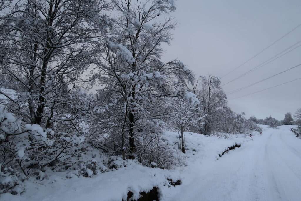 A snowy wintry road in December. A rural road in covered in snow and making driving conditions very challenging