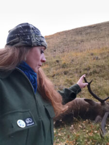 stag stalking in remote Scotland with the author quietly respecting and appreciating the cull stag 