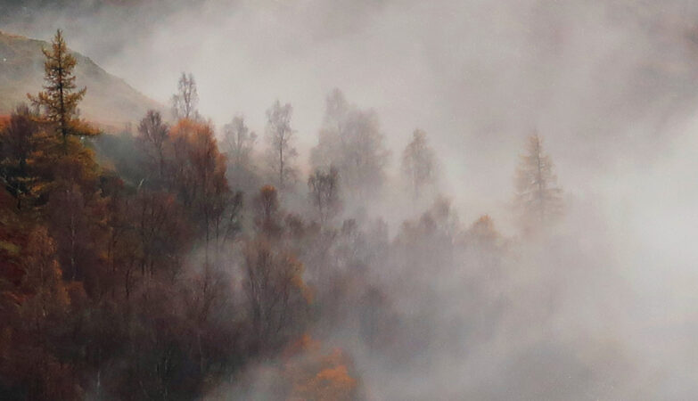 November rain and mist