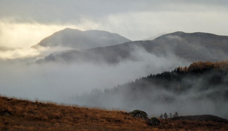 Misty morning November landscape