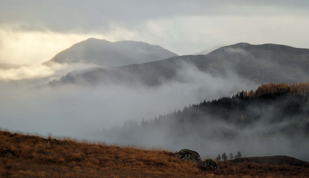 Misty morning November landscape