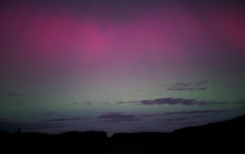 The Northern lights of May